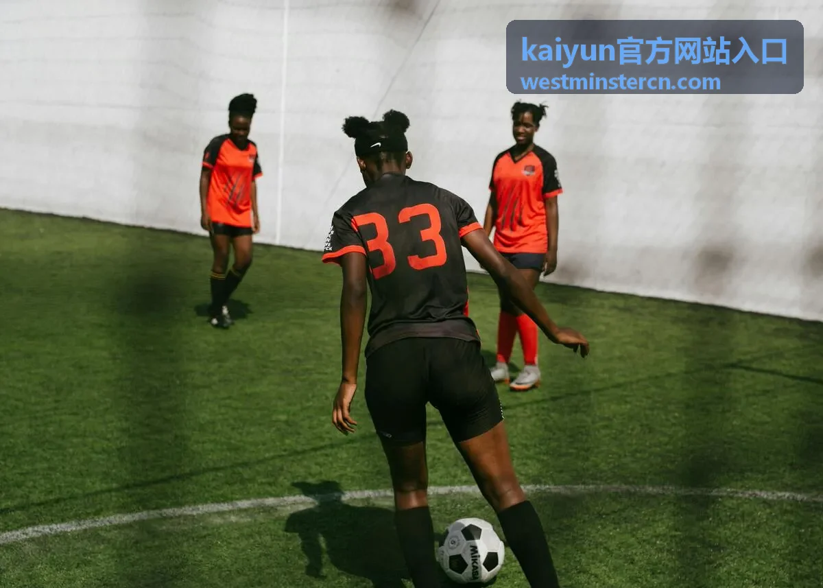 kaiyun官方网站入口 开通与使用说明配图